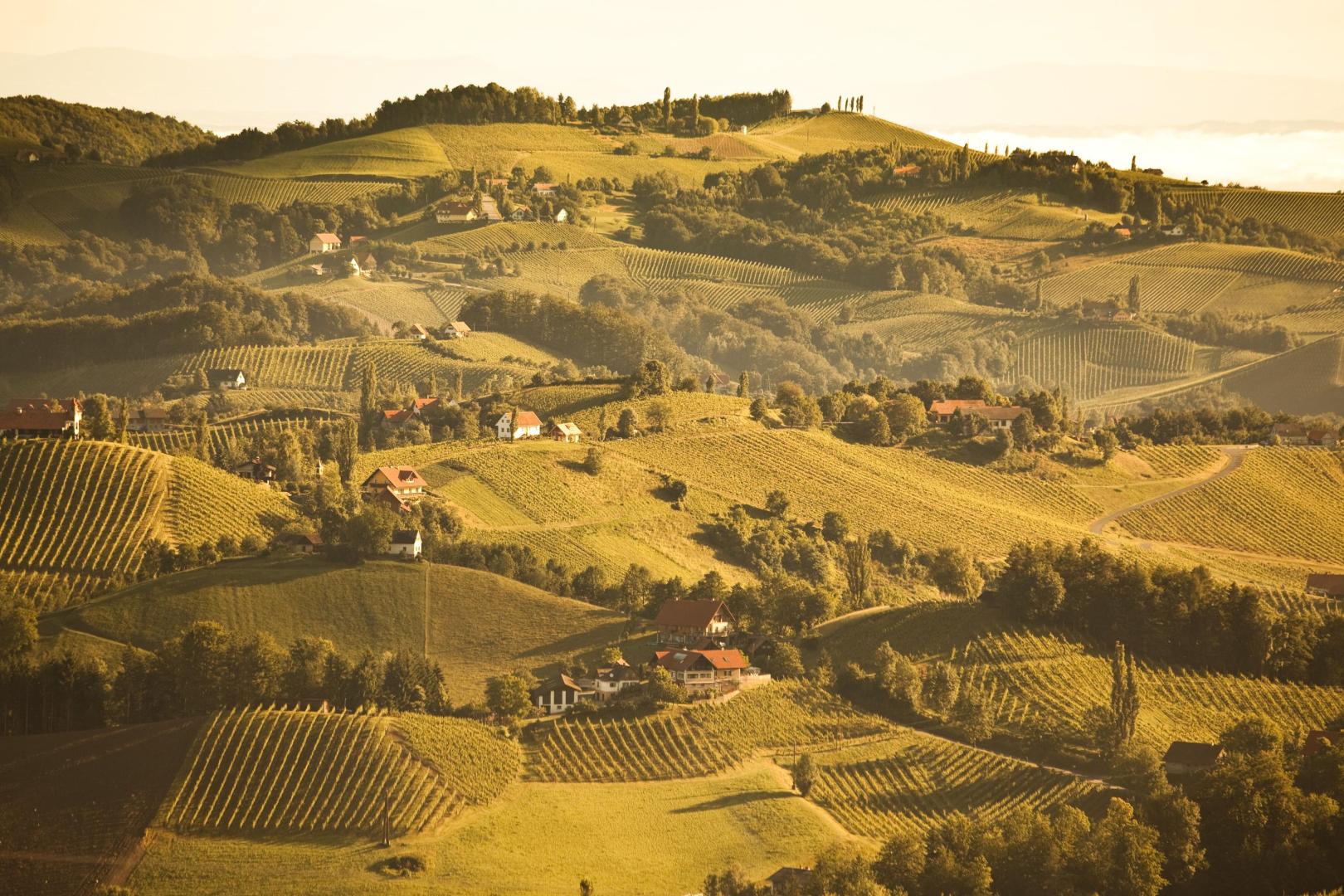 Südsteiermark QW