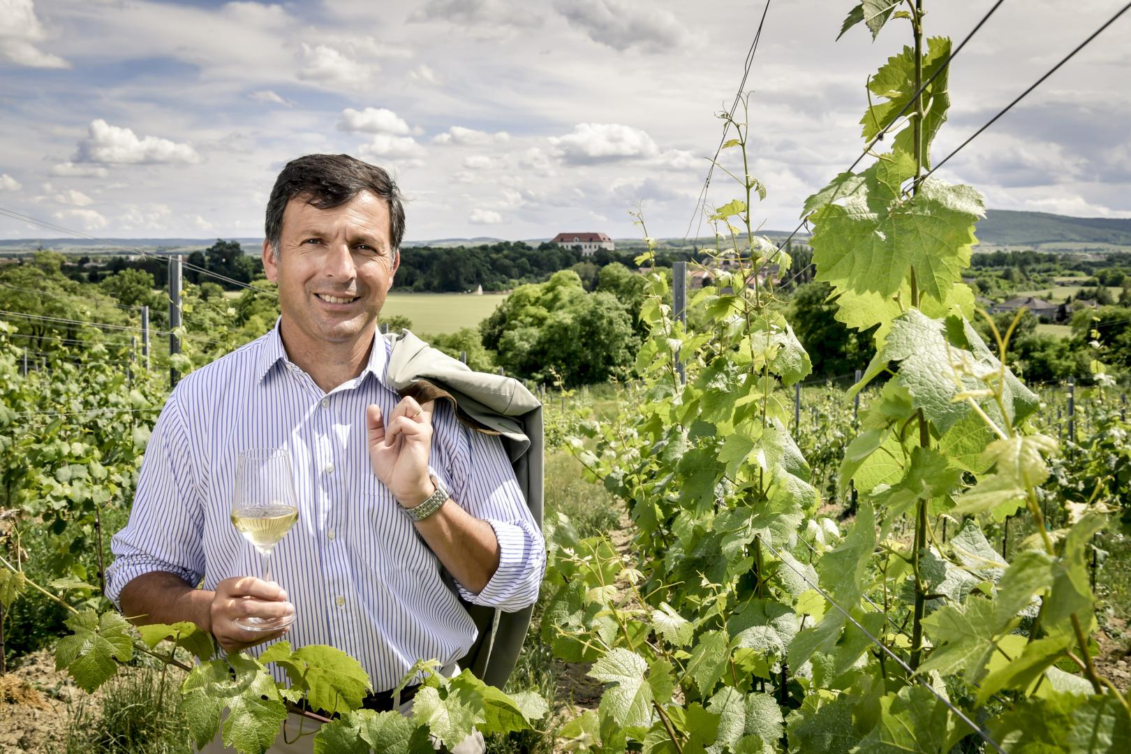 Schlossweingut Graf Hardegg