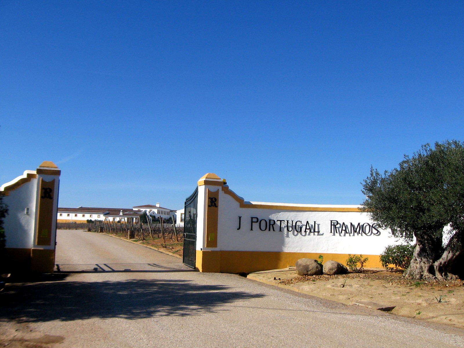 João Portugal Ramos