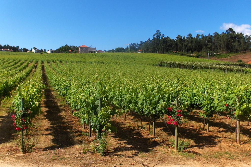 Quinta da Lixa